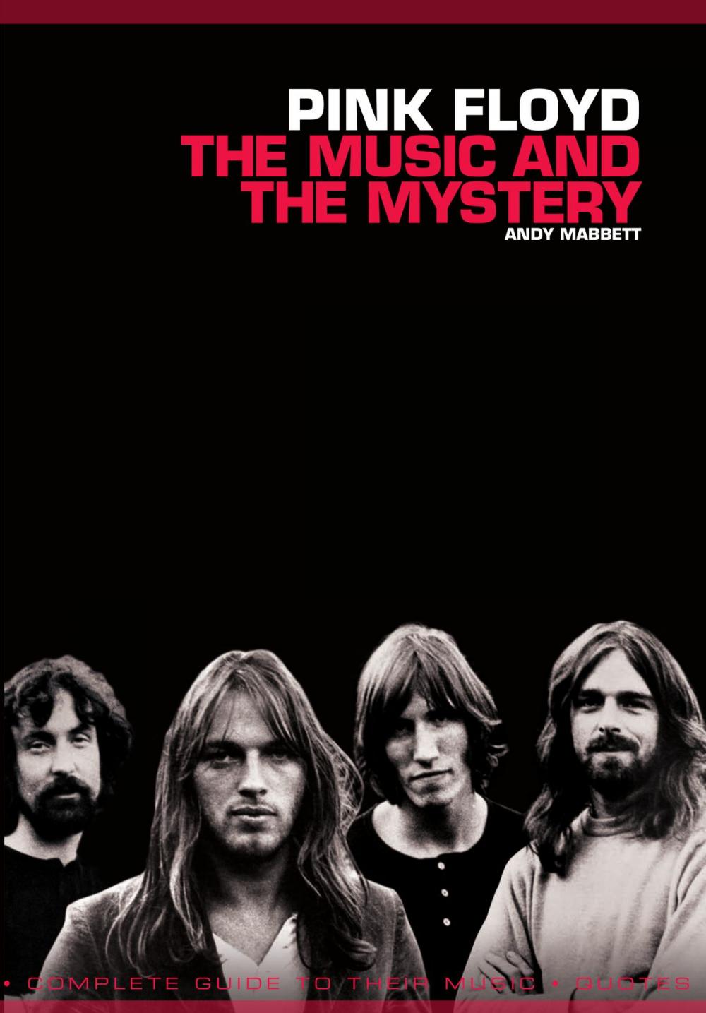 Big bigCover of Pink Floyd- The music and the mystery