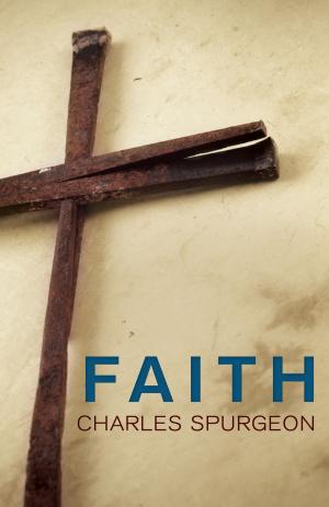 Cover of the book Faith by Laura Hilton