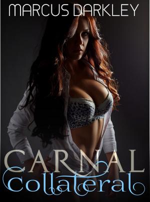 Cover of the book Carnal Collateral by CJ Edwards