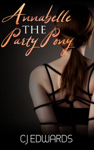 Cover of the book Annabelle The Party Pony by Patrick Santiago