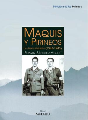 Cover of the book Maquis y Pirineos by Visa Barbosa, Miquel