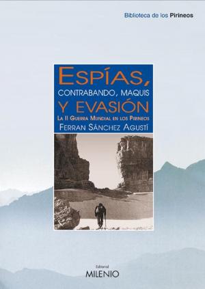 Cover of the book Espías contrabando maquis y evasión by Albrecht Graf Von Kalnein