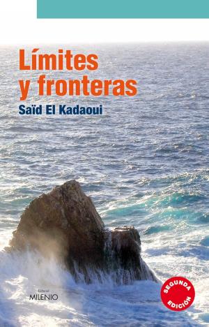 Cover of the book Límites y fronteras by Josep M. Puigjaner
