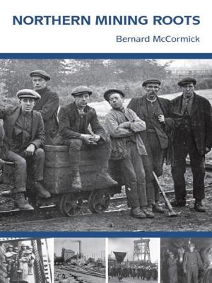 Book cover of Northern Mining Roots