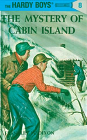 Cover of the book Hardy Boys 08: The Mystery of Cabin Island by Adele Griffin