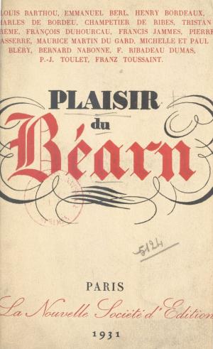 Cover of the book Plaisir du Béarn by Michel Pougeoise, Henri Mitterand