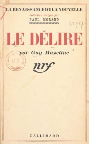Cover of the book Le délire by Maxime Delamare, Marcel Duhamel