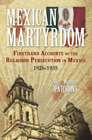 Cover of the book Mexican Martyrdom by Joel Peters