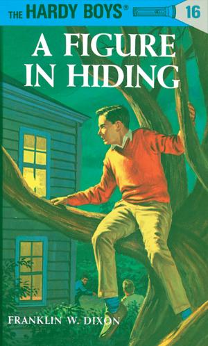 Book cover of Hardy Boys 16: A Figure in Hiding