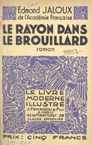 Cover of the book Le rayon dans le brouillard by Gérard Delteil