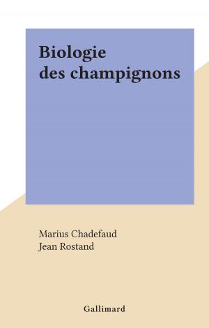 Cover of the book Biologie des champignons by Luc Estang
