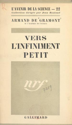 Cover of the book Vers l'infiniment petit by Blanche Trapier, Raymond Burgard