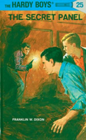 Cover of the book Hardy Boys 25: The Secret Panel by Betsy Duffey