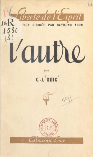 Cover of the book L'autre by Louis-Olivier Vitté