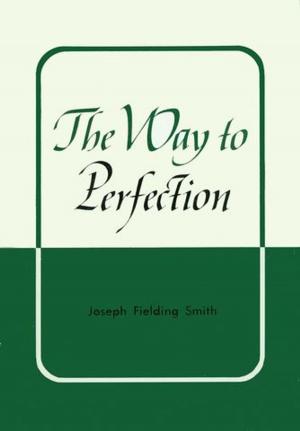 Book cover of Way to Perfection