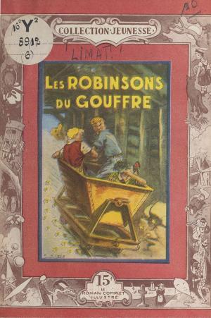 Cover of the book Les robinsons du gouffre by Françoise Parturier