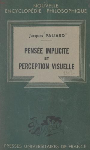 Cover of the book Pensée implicite et perception visuelle by Charles Zorgbibe, Paul Angoulvent
