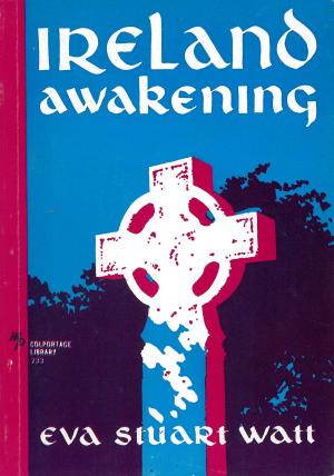 Cover of the book Ireland Awakening by Sarah Cunningham