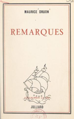 Cover of the book Remarques by Laurence Chaniac, André Brun