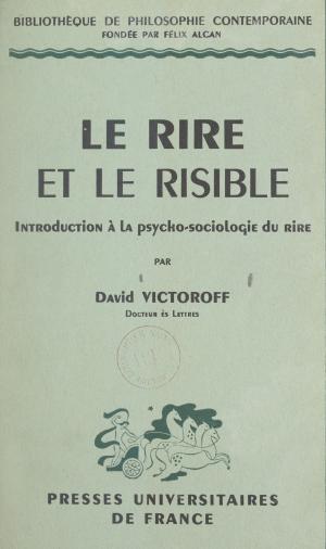Cover of the book Le rire et le risible by Francis Delpérée