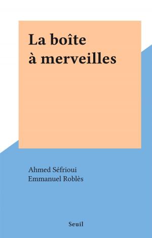 Cover of the book La boîte à merveilles by Bernard Vincent