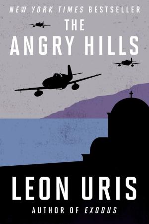 Cover of the book The Angry Hills by bernard andré ancel