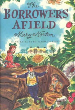 Cover of the book The Borrowers Afield by 