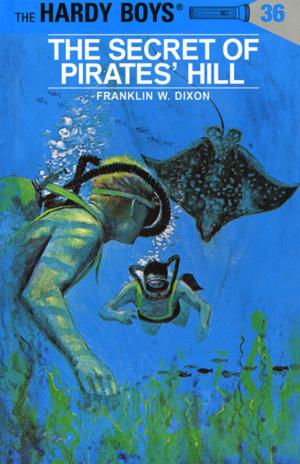 Cover of the book Hardy Boys 36: The Secret of Pirates' Hill by William Kamkwamba, Bryan Mealer