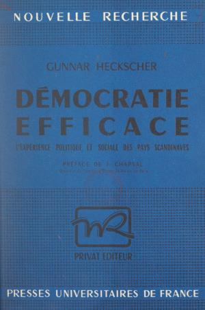 Cover of the book Démocratie efficace by Daniel Jouanneau, Paul Angoulvent