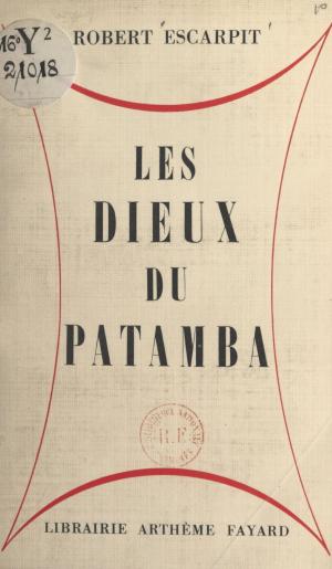 Cover of the book Les dieux du Patamba by Voldemar Lestienne