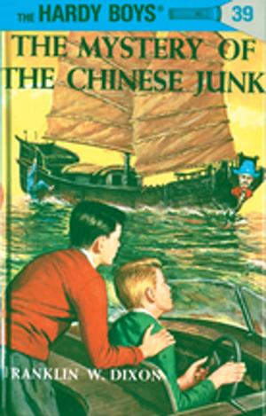 Cover of the book Hardy Boys 39: The Mystery of the Chinese Junk by David Grimstone