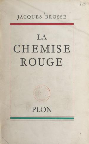 Cover of the book La chemise rouge by Gaston Palewski, Éric Roussel