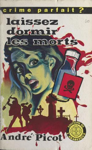 Cover of the book Laissez dormir les morts by Alain Braconnier