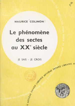 Cover of the book Frères séparés (13) by Frédéric Lenormand
