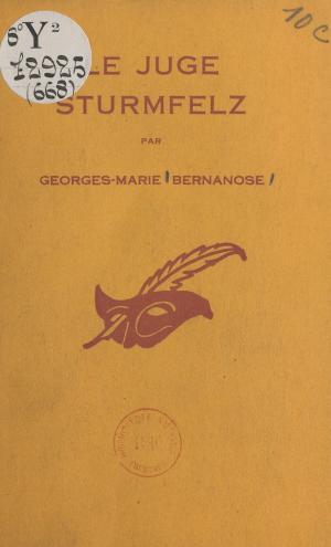 Cover of the book Le juge Sturmfelz by Daniel Appriou