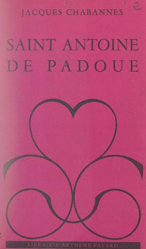 Cover of the book Saint Antoine de Padoue by Jacques Sternberg
