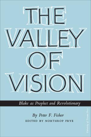 Cover of the book The Valley of Vision by William J. Smyth, Cecil J. Houston