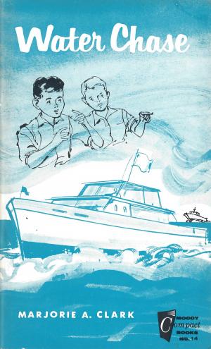 Cover of the book Water Chase by Ken Wytsma, A. J. Swoboda