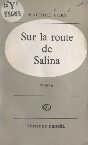 Cover of the book Sur la route de Salina by Jeanne Bourin