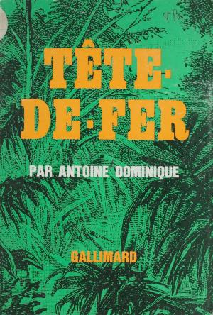 Cover of the book Tête-de-fer by Pierre Boudot, Roland Farrugia