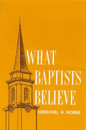 Cover of the book What Baptists Believe by Leanna Ellis