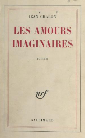 Cover of the book Les amours imaginaires by Régine Detambel