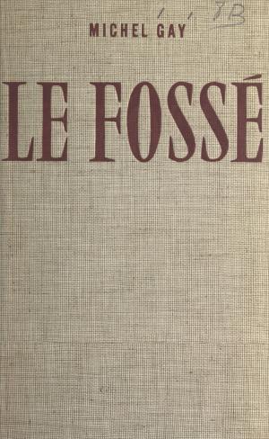 Cover of the book Le fossé by Richard Bankowsky