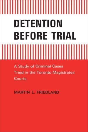 Cover of the book Detention Before Trial by Mieke Bal