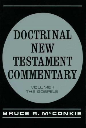 bigCover of the book Doctrinal New Testament Commentary, Vol 1 by 