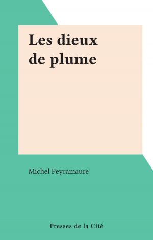 Cover of the book Les dieux de plume by Benoît Heimermann