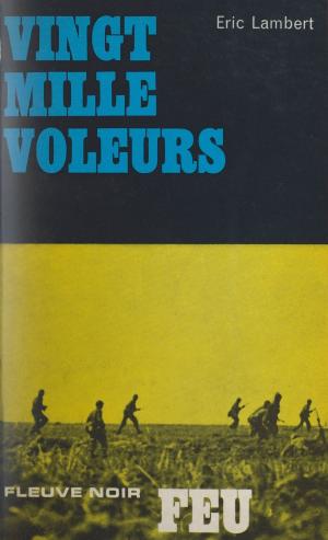 Cover of the book Vingt mille voleurs by Ahmed Séfrioui