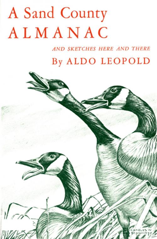 Cover of the book A Sand County Almanac:With Other Essays on Conservation from Round River by Aldo Leopold, Oxford University Press, USA