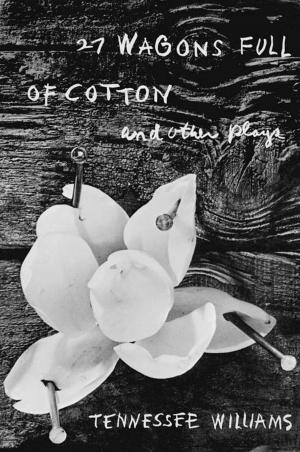 Cover of the book 27 Wagons Full of Cotton and Other Plays by William Scott McLean, Gary Snyder