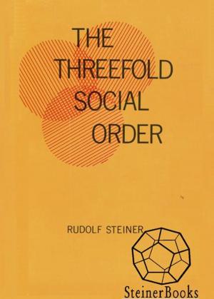 Cover of the book The Threefold Social Order by Paul Allen, Joan deRis Allen